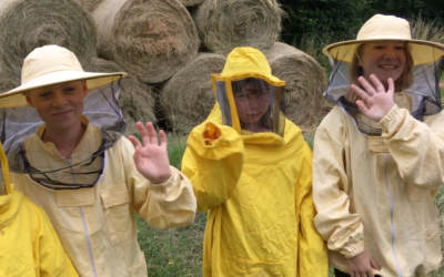 Fleißige Bienen in der Schule