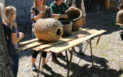 Bienenkörbe traditionell und mit handwerklichem Geschick reparieren